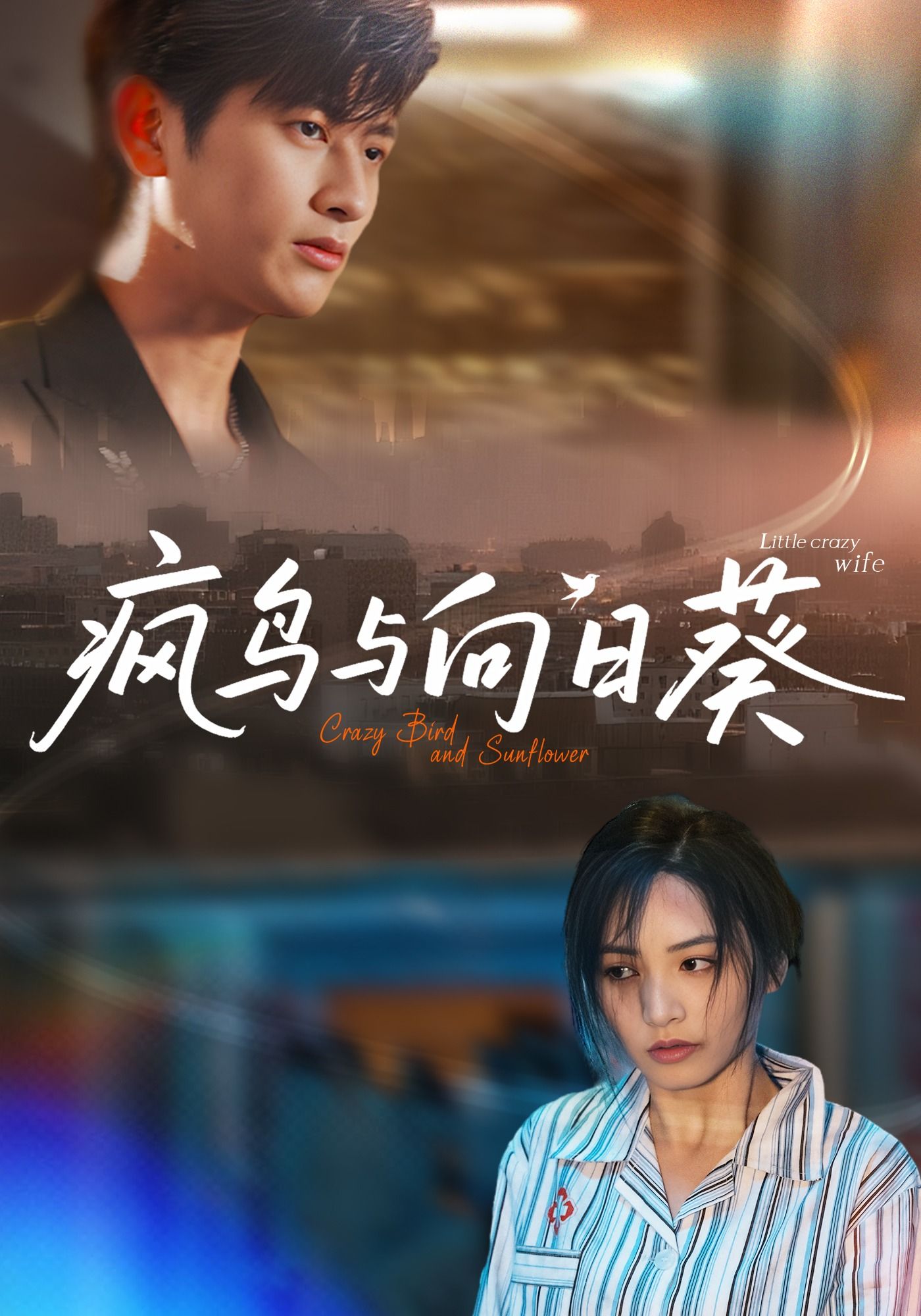 疯鸟与向日葵40集全集完整版未删减韩叙李虹艺主演,免费在线观看播放,百度网盘夸克网盘资源分享下载 第1张 疯鸟与向日葵40集全集完整版未删减韩叙李虹艺主演,免费在线观看播放,百度网盘夸克网盘资源分享下载 第1张