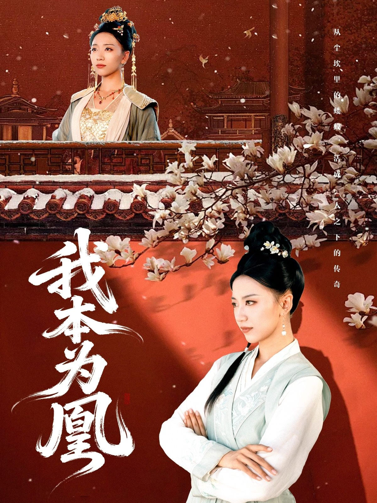 热门短剧我本为凰82集全集 傅宇航刘继徽主演 超清免费在线观看未删减版 百度网盘夸克网盘资源下载 第1张 热门短剧我本为凰82集全集 傅宇航刘继徽主演 超清免费在线观看未删减版 百度网盘夸克网盘资源下载 第1张