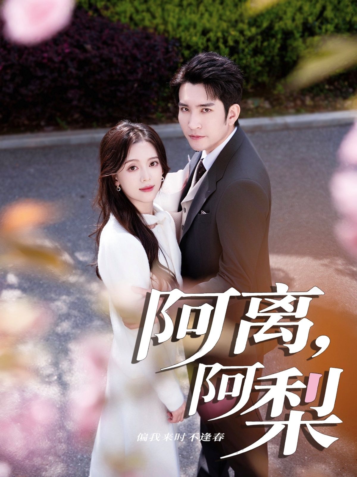 热门短剧阿离阿梨60集全集 王已歌唐敬主演 免费在线观看未删减版 百度网盘夸克网盘资源分享下载 第1张 热门短剧阿离阿梨60集全集 王已歌唐敬主演 免费在线观看未删减版 百度网盘夸克网盘资源分享下载 第1张