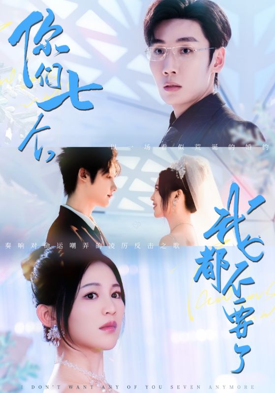 热门短剧你们七个我都不要了73集刘博洋崔秀子主演 全集完整版未删减 免费稳定在线观看 百度夸克网盘资源分享下载  第1张