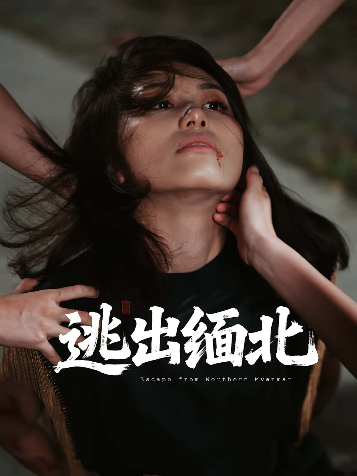 逃出缅北62集全集 刘振安汪芷萱主演 完整版未删减免费在线观看 百度网盘夸克网盘资源下载分享  第1张