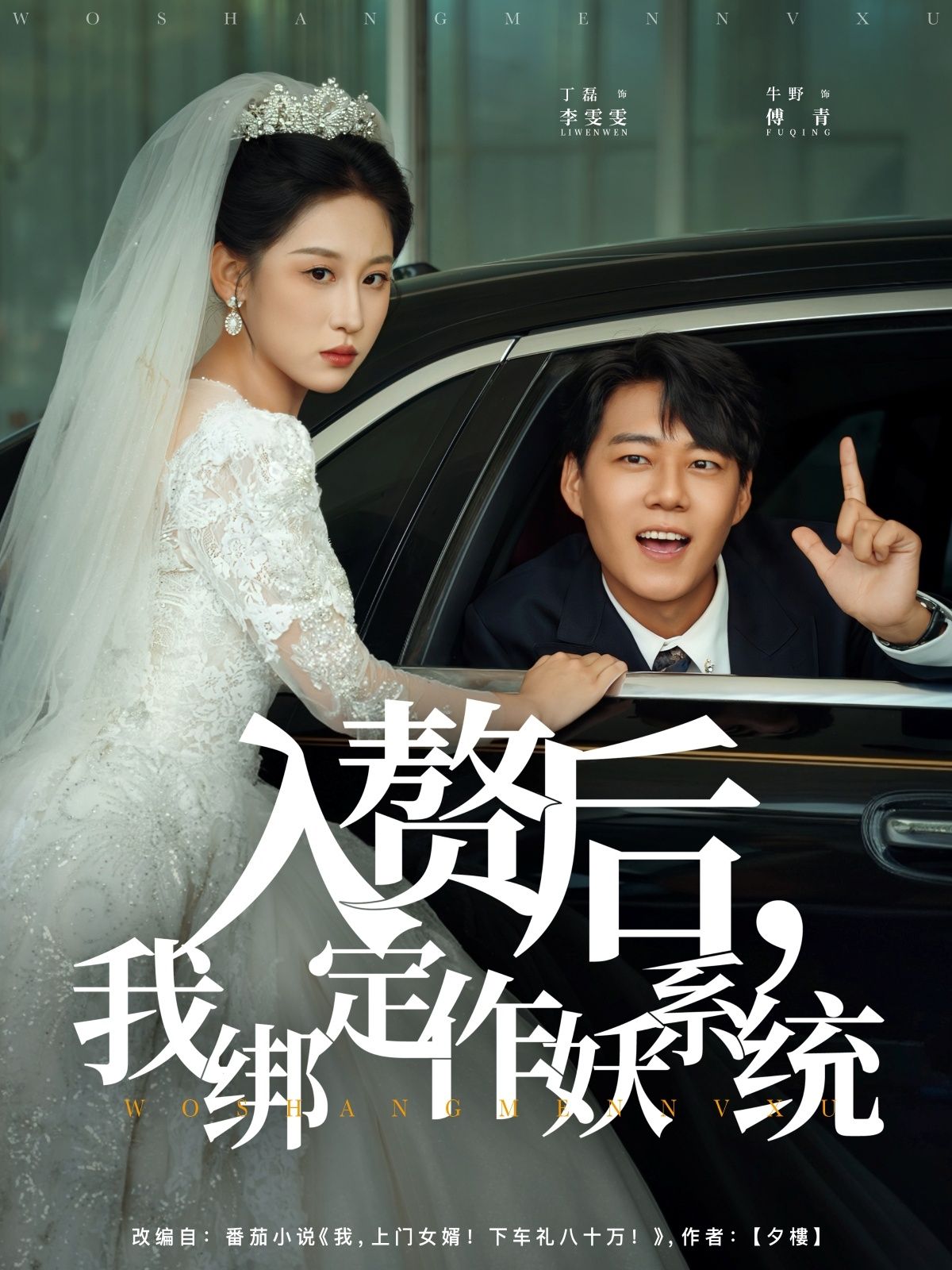热门短剧入赘后我绑定作妖系统81集全集 丁磊牛野主演 高清未删减免费在线观看 百度网盘夸克网盘资源下载分享  第1张