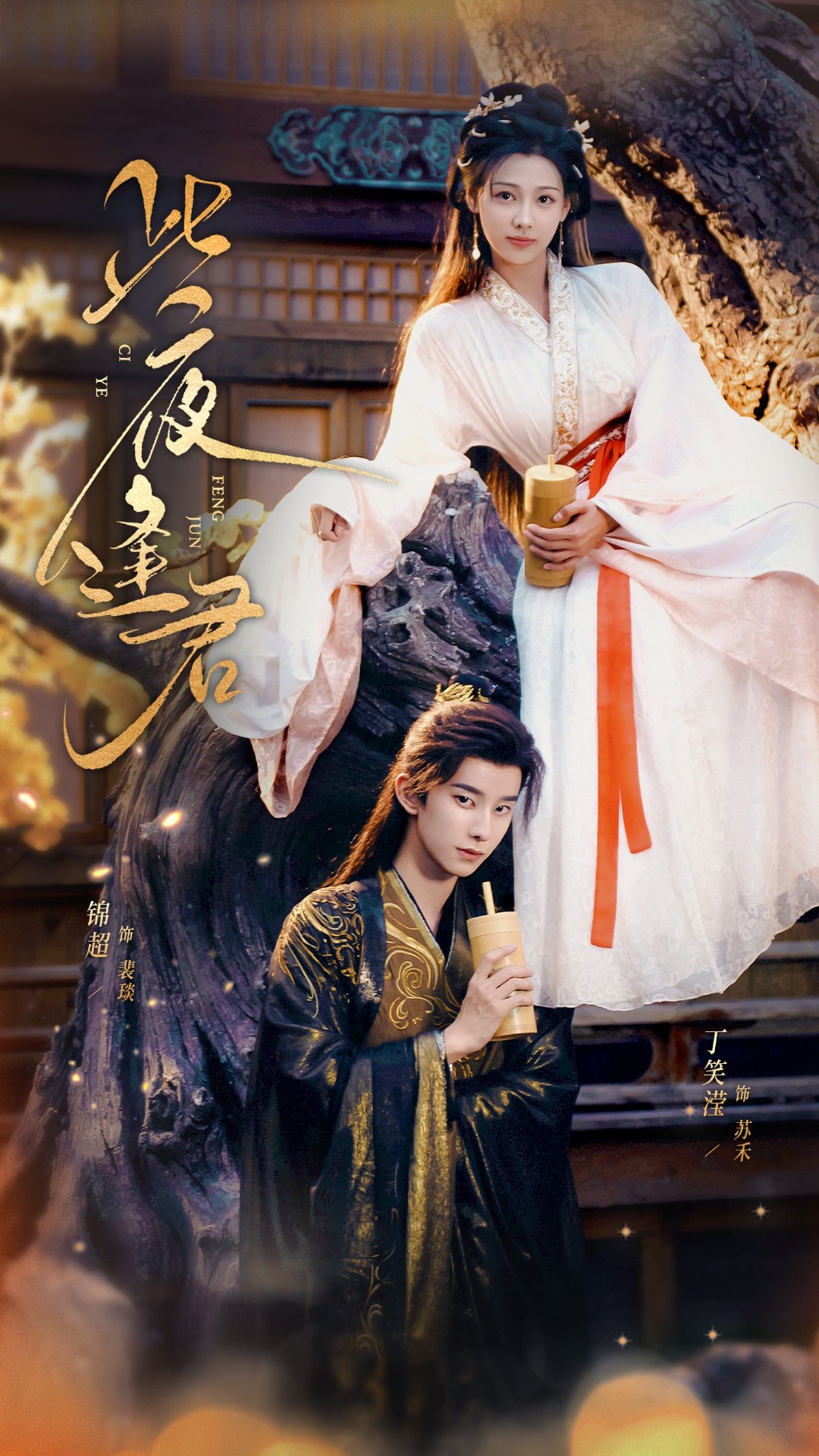 此夜逢君76集全集免费观看|锦超丁笑滢主演无水印未删减版|百度网盘夸克网盘资源下载