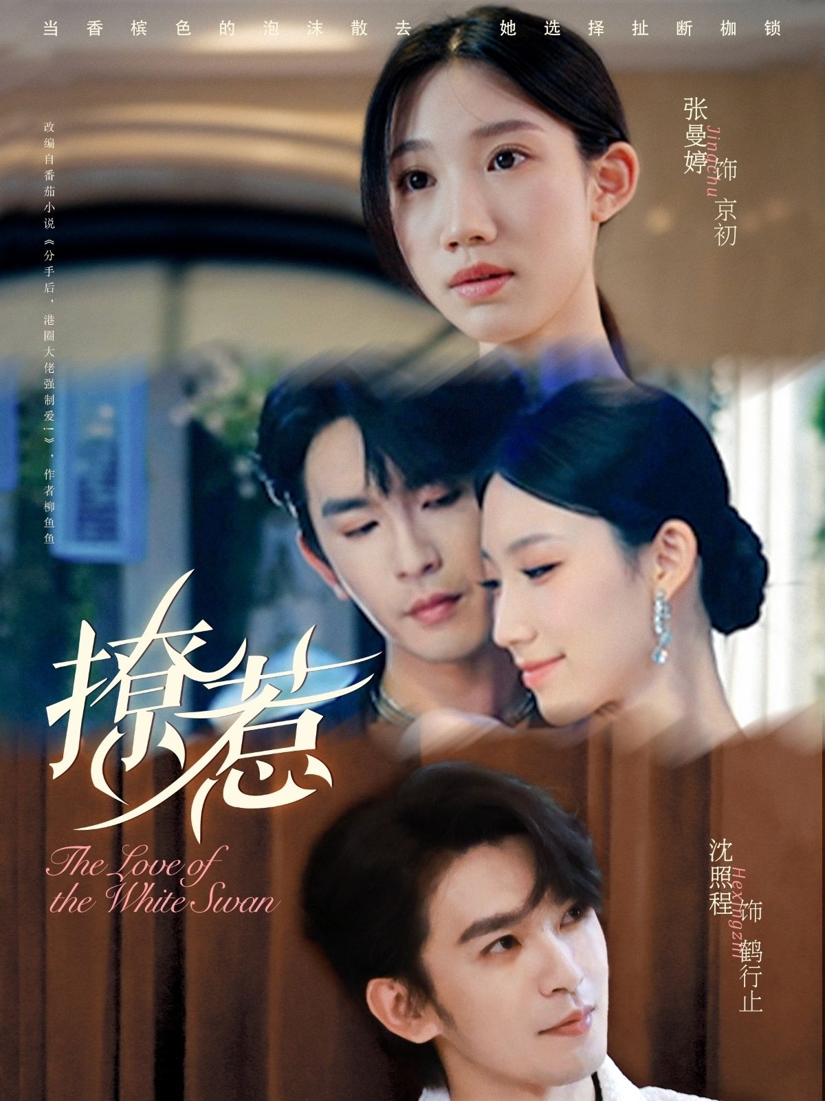 撩惹张曼婷沈照程80集全集完整版免费无卡顿在线观看未删减版 百度网盘夸克网盘免费资源下载  第1张