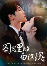 囚笼里的白玫瑰李明轩主演59集全集完整版免费在线观看未删减版,百度网盘夸克网盘免费资源速存下载分享 第1张 囚笼里的白玫瑰李明轩主演59集全集完整版免费在线观看未删减版,百度网盘夸克网盘免费资源速存下载分享 第1张