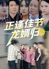 正逢佳节龙婿归王鹏赫王馨主演42集全集完整版免费观看在线播放未删减版，百度网盘夸克网盘免费资源分享下载  第1张