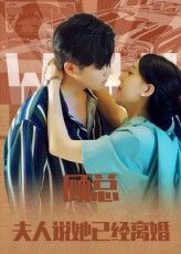 热门短剧顾总，夫人说她已经离婚（30集）全集完整版免费在线观看未删减版，百度网盘夸克网盘资源免费分享下载  第1张