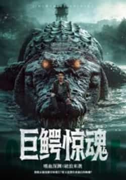 热门短剧巨鳄惊魂(85集)沈建全集完整版未删减,实时更新免费在线观看,百度网盘夸克网盘资源分享下载 第1张 热门短剧巨鳄惊魂(85集)沈建全集完整版未删减,实时更新免费在线观看,百度网盘夸克网盘资源分享下载 第1张