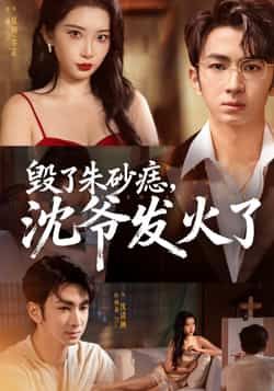 热门短剧《毁了朱砂痣,沈爷发火了(60集)叶森林,张璇》 全集完整版免费在线观看播放未删减版资源,短剧百度网盘夸克网盘免费资源秒存分享下载 第1张 热门短剧《毁了朱砂痣,沈爷发火了(60集)叶森林,张璇》 全集完整版免费在线观看播放未删减版资源,短剧百度网盘夸克网盘免费资源秒存分享下载 第1张