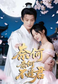 奈何奈何不逢君57集骆诗琪刘润铭主演 全集完整版未删减免费在线观看播放 百度网盘夸克网盘资源分享下载  第1张