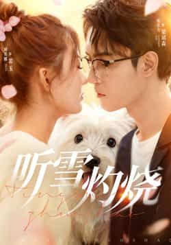 热门短剧听雪灼烧68集全集完整版免费在线观看 未删减版 希尔力刘美娜主演 百度网盘夸克网盘免费资源分享下载 第1张 热门短剧听雪灼烧68集全集完整版免费在线观看 未删减版 希尔力刘美娜主演 百度网盘夸克网盘免费资源分享下载 第1张