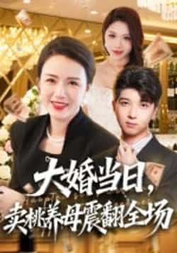 大婚当日,卖桃养母震翻全场热门短剧全集完整版实时更新免费在线观看未删减版,百度网盘夸克网盘免费资源分享下载 第1张 大婚当日,卖桃养母震翻全场热门短剧全集完整版实时更新免费在线观看未删减版,百度网盘夸克网盘免费资源分享下载 第1张