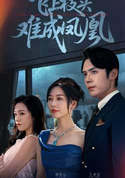 热门短剧飞上枝头难成凤凰全集完整版未删减,免费在线观看极速播放,百度网盘夸克网盘免费资源分享下载 第1张 热门短剧飞上枝头难成凤凰全集完整版未删减,免费在线观看极速播放,百度网盘夸克网盘免费资源分享下载 第1张