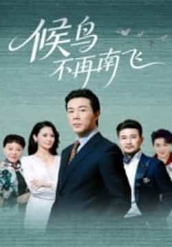 热门短剧候鸟不再南飞全集完整版免费无卡顿在线观看，未删减版百度网盘夸克网盘资源分享下载  第1张