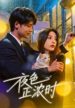 热门短剧夜色正浓时全集完整版实时更新免费在线观看,未删减版资源,百度网盘夸克网盘免费下载分享 第1张 热门短剧夜色正浓时全集完整版实时更新免费在线观看,未删减版资源,百度网盘夸克网盘免费下载分享 第1张