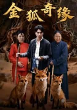 热门短剧金狐奇缘全集完整版免费无水印在线观看,未删减版资源,百度网盘夸克网盘免费分享下载 第1张 热门短剧金狐奇缘全集完整版免费无水印在线观看,未删减版资源,百度网盘夸克网盘免费分享下载 第1张