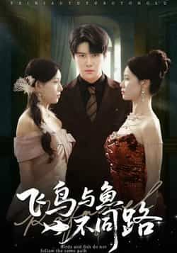 热门短剧飞鸟与鱼不同路全集完整版免费无卡顿在线观看,未删减版百度网盘夸克网盘免费资源分享下载 第1张 热门短剧飞鸟与鱼不同路全集完整版免费无卡顿在线观看,未删减版百度网盘夸克网盘免费资源分享下载 第1张