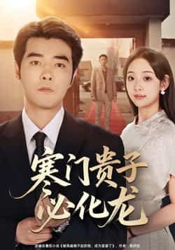 热门短剧寒门贵子必化龙全集完整版免费在线观看未删减版，百度网盘/夸克网盘免费资源分享下载  第1张