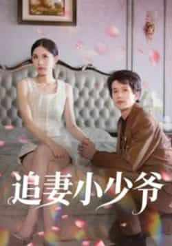 热门短剧追妻小少爷全集完整版未删减，免费在线观看，百度网盘夸克网盘资源分享下载  第1张