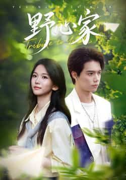 热门短剧《野心家》 全集完整版免费无水印在线观看播放未删减版资源，短剧百度网盘夸克网盘免费资源分享下载