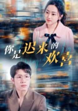 热门短剧你是迟来的欢喜全集未删减版免费在线观看，百度网盘夸克网盘资源分享下载  第1张