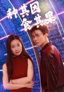 热门短剧种其因，食其果全集完整版未删减，免费在线观看播放，百度网盘夸克网盘资源分享下载，极速更新无广告  第1张