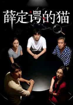 热门短剧薛定谔的猫全集完整版免费在线观看播放未删减版，百度网盘夸克网盘免费资源分享下载，稳定更新高清资源  第1张