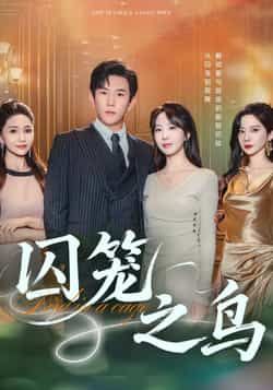 热门短剧囚笼之鸟全集完整版免费在线观看未删减版,百度网盘夸克网盘免费分享资源下载