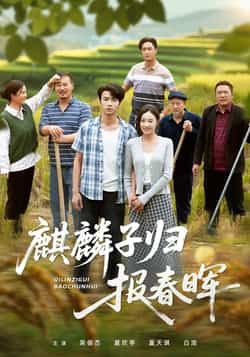 热门短剧麒麟子归报春晖全集完整版免费在线观看未删减版,百度网盘夸克网盘免费资源分享下载